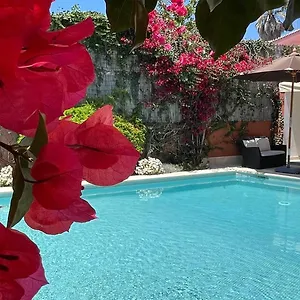 With Private Swimming Pool And Garden Apartment